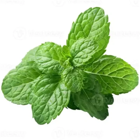 mint blad 30g