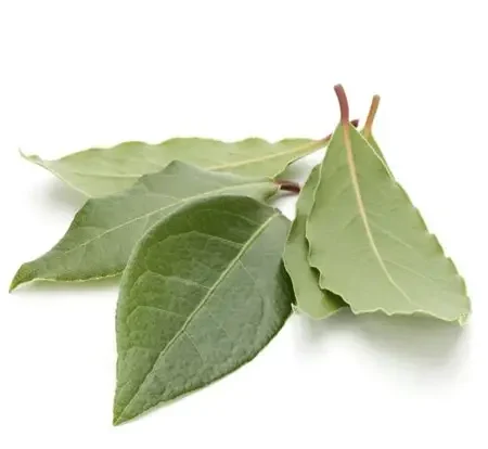 daum salam blad 7g