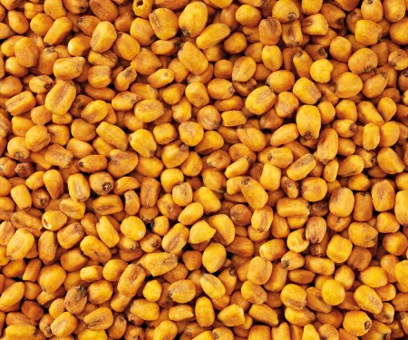 Mais geroosterd gezouten 140g